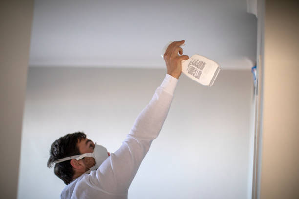 Best Emergency Mold Removal  in Hiller, PA
